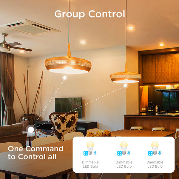 Govee Smart lamp E27 | Peer A60 | Mat | 2700-6500K | WiFi | 2 stuks LGO00208 - 7