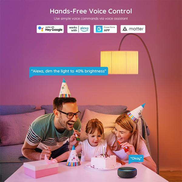 Govee Smart lamp E27 | Peer A60 | Mat | RGB + 2700-6500K | WiFi | 9W | 2 stuks LGO00202 - 6