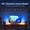 Govee TV Light bar | 38 cm | RGBWIC | WiFi | Geschikt voor 45-70 inch TV's | 2 stuks LGO00212 - 5