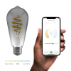Hombli Smart Filament Bulb E27 | Edison | Smokey | 1 stuk | 5.5W | 1800K-6500K  LHO00038 - 3