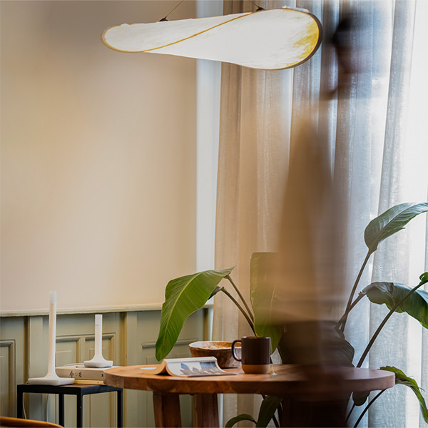 Home Assistant Connect ZBT-2 | USB-C | Zigbee/Thread Gateway LHA00002 - 6