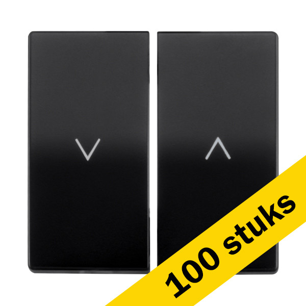 Aanbieding: 100x ION Industries Bedieningswip jaloezieschakelaar V1/J1 | Mat zwart LIO00164 - 1
