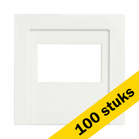 Aanbieding: 100x ION Industries centraalplaat oplader V1/J1 | USB A + USB C TAE | Alpin wit glanzend LIO00185