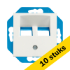 Aanbieding: 10x Modular Jack 30° 2-voudig met Centraalplaat E1 Mat Alpin Wit LIO00370 - 1