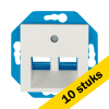 Aanbieding: 10x Modular Jack 30° 2-voudig met Centraalplaat V1/J1 Mat Alpin Wit LIO00133 - 1