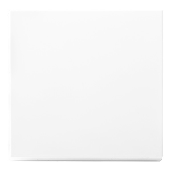 Enkelvoudige Tastdimmer Knop | Alpine Wit | V1/J1 | iON Industries LIO00528 - 1