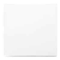 Enkelvoudige Tastdimmer Knop | Alpine Wit | V1/J1 | iON Industries