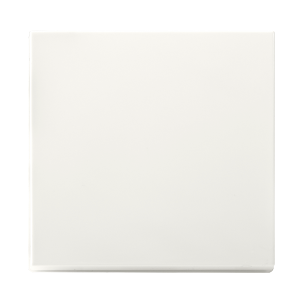 Enkelvoudige Tastdimmer Knop | Mat Alpine Wit | V1/J1 | iON Industries LIO00529 - 1