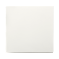 Enkelvoudige Tastdimmer Knop | Mat Alpine Wit | V1/J1 | iON Industries