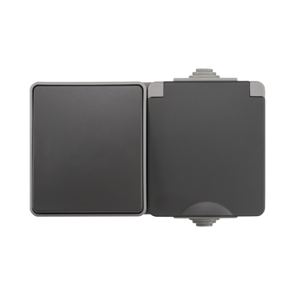 ION industries Opbouw Combinatie Stopcontact en Wisselschakelaar | IP55 | Grijs  LIO00491 - 1