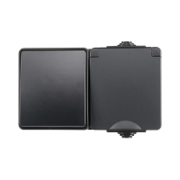 ION industries Opbouw Combinatie Stopcontact en Wisselschakelaar | IP55 | Zwart  LIO00507