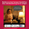 Innr Zigbee Outdoor Globe Light basisset | RGB + 1800-6500K | Werkt met Philips Hue | 4.6W | 3 stuks  LIN00115 - 7