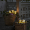 Kerst varken met verlichting | Warm wit | 40 lampjes | 5 stuks | Konstsmide LKO00797 - 2
