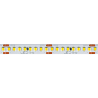 LED line Led strip 5 meter | Helder wit | SMD 3528 | 192 leds p/m | IP20 | 24V  LDR06683