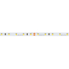 LED line Led strip 5 meter | Helder wit | SMD 3528 | 60 leds p/m | IP20 | 24V  LDR06675