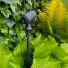 Lightpro Multispike | Geschikt voor Castor, Juno & Camera | Zwart LLP00079 - 3