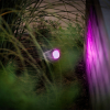 Lightpro Spot 12V | Castor Smart | Zigbee | RGB + 2700-6500K | 310 lumen | IP44 | Antraciet | 5W  LLP00018 - 9