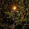 Lightpro Tuinlantaarn 12V | Erba Mid | 3000K | 100 lumen | IP44 | Antraciet | 1.1W  LLP00002 - 2
