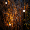 Lightpro Tuinlantaarn 12V | Erba set | 3000K | 100 lumen | IP44 | Antraciet | 1.1W  LLP00001 - 3