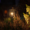 Lightpro Tuinlantaarn 12V | Eros Hi | Filament | 2200K | 300 lumen | IP44 | Zwart | 3.5W  LLP00009 - 2