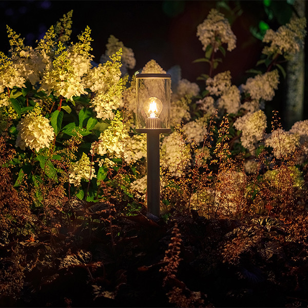 Lightpro Tuinlantaarn 12V | Eros Hi | Filament | 2200K | 300 lumen | IP44 | Zwart | 3.5W  LLP00009 - 3