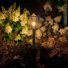 Lightpro Tuinlantaarn 12V | Eros Hi | Filament | 2200K | 300 lumen | IP44 | Zwart | 3.5W  LLP00009 - 3