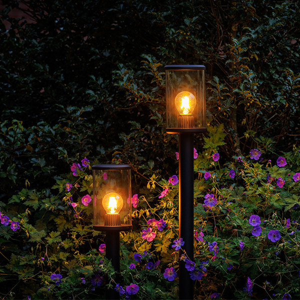 Lightpro Tuinlantaarn 12V | Eros Lo | Filament | 2200K | 300 lumen | IP44 | Zwart | 3.5W  LLP00008 - 2