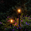 Lightpro Tuinlantaarn 12V | Eros Lo | Filament | 2200K | 300 lumen | IP44 | Zwart | 3.5W  LLP00008 - 2