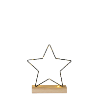 Luca Lighting Decoratie ster 19 cm | Warm wit | Batterij | House of Seasons  LBB00088