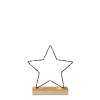 Decoratie ster 19 cm | Warm wit | Batterij | House of Seasons