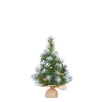 Luca Lighting Kunstkerstboom 45 cm | Norton | Besneeuwd | 10 lampjes | 40 Tips | Black Box Trees  LBB00099