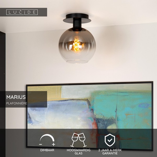 Lucide Plafondlamp E27 | Ø 20 | Marius | Glas | Zwart LLU20265 - 2