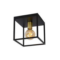 Lucide Plafondlamp E27 | 22 x 22 cm | Ruben | Zwart LLU20352