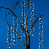 Lumineo Cascadeverlichting cluster | 6 takken | Warm wit | Twinkelen | 480 lampjes | Lumineo  LLU00201 - 4