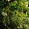 Kerstverlichting 7.4 meter | Duracharge oplaadbaar | Extra warm wit | 100 lampjes | Lumineo LLU00442 - 5