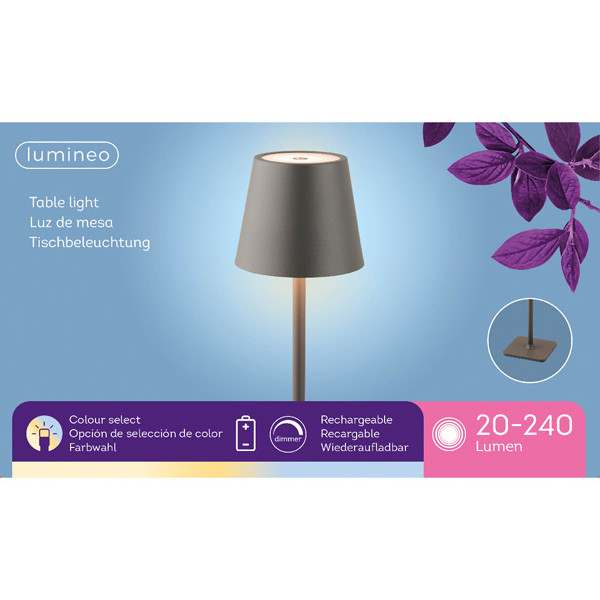 Lumineo Oplaadbare tafellamp | Warm wit & koud wit | IP20 | Antraciet  LLU00251 - 3