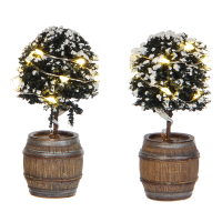 Luville Buxusbomen in vat | 2x AA | 4 x 8,5 cm | 2 stuks LLU10023