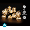 Nedis Smart Partyverlichting | 9 meter | 10 lampjes | Warm wit | 2.8W  LNE00152 - 2