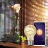 Nedis Smart lamp E27 | Peer A60 | Goud | 1800-6500K | WiFi (Tuya) | 4.9W LNE00229 - 5
