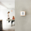 Netatmo Slimme thermostaat  LNE00022 - 2