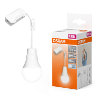 Osram verhuisfitting met lamp | Peer A60 | Mat | 4000K | 10W (75W)  LOS01795