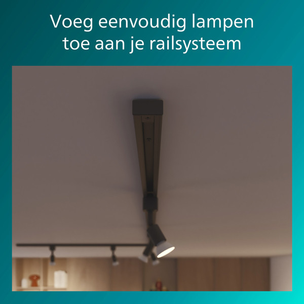 Philips Afsluitstuk | EasyLink | Zwart | 2 stuks LPH04539 - 2