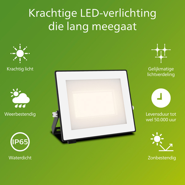 Philips Floodlight | Lois | 3000K | 3200 lumen | IP65 | 30W LPH04830 - 2