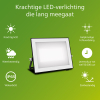 Philips Floodlight | Lois | 5000K | 5400 lumen | IP65 | 50W LPH04833 - 2