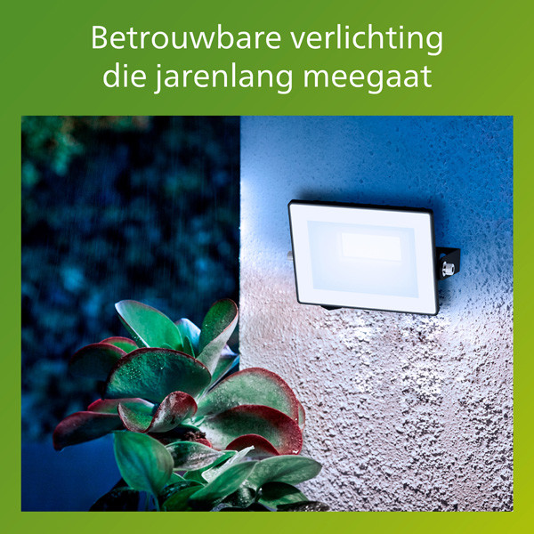 Philips Floodlight | Lois | 5000K | 950 lumen | IP65 | 10W LPH04827 - 4