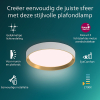Philips Hanno plafondlamp | Ultra Efficient | SceneSwitch | 2700K | Ø 38.4 cm | Wit/Goud | 24W  LPH03745 - 3