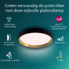 Philips Hanno plafondlamp | Ultra Efficient | SceneSwitch | 2700K | Ø 38.4 cm | Zwart/Goud | 24W  LPH03744 - 3