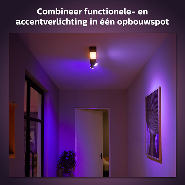 Philips Hue Centris opbouwspot | Zwart | White en Color Ambiance | 2 spots | V2  LPH03925 - 6