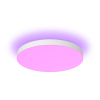 Philips Hue Datura Plafondlamp | 38.4 cm | White & Color Ambiance | Wit  LPH03735 - 2