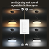 Philips Hue Enrave Hanglamp | Zwart | White Ambiance | incl. dimmer switch  LPH02784 - 4